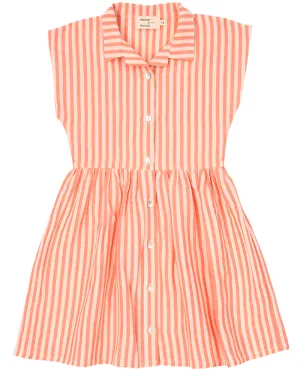 Coral Stripe Vintage Shirt Dress