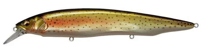 Megabass Kanata