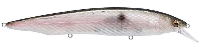 Megabass Kanata