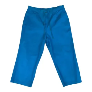 Pants Cropped By Sag Harbor In Teal, Size: 16